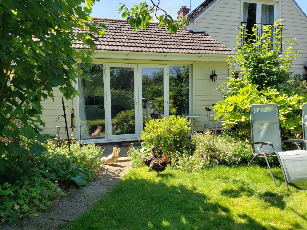 Luxury Self Catering With Cosy Cabin & Sauna In Colchester Esterno foto