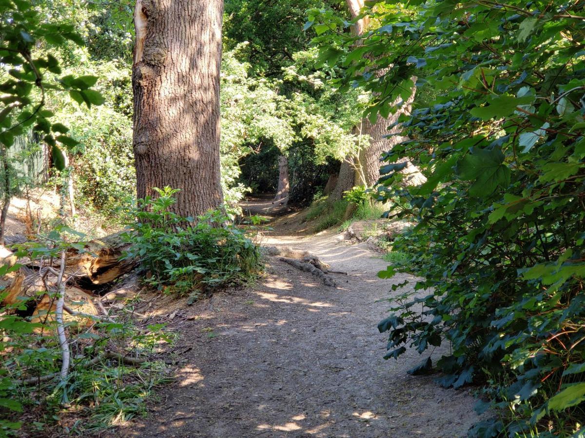Luxury Self Catering With Cosy Cabin & Sauna In Colchester Esterno foto