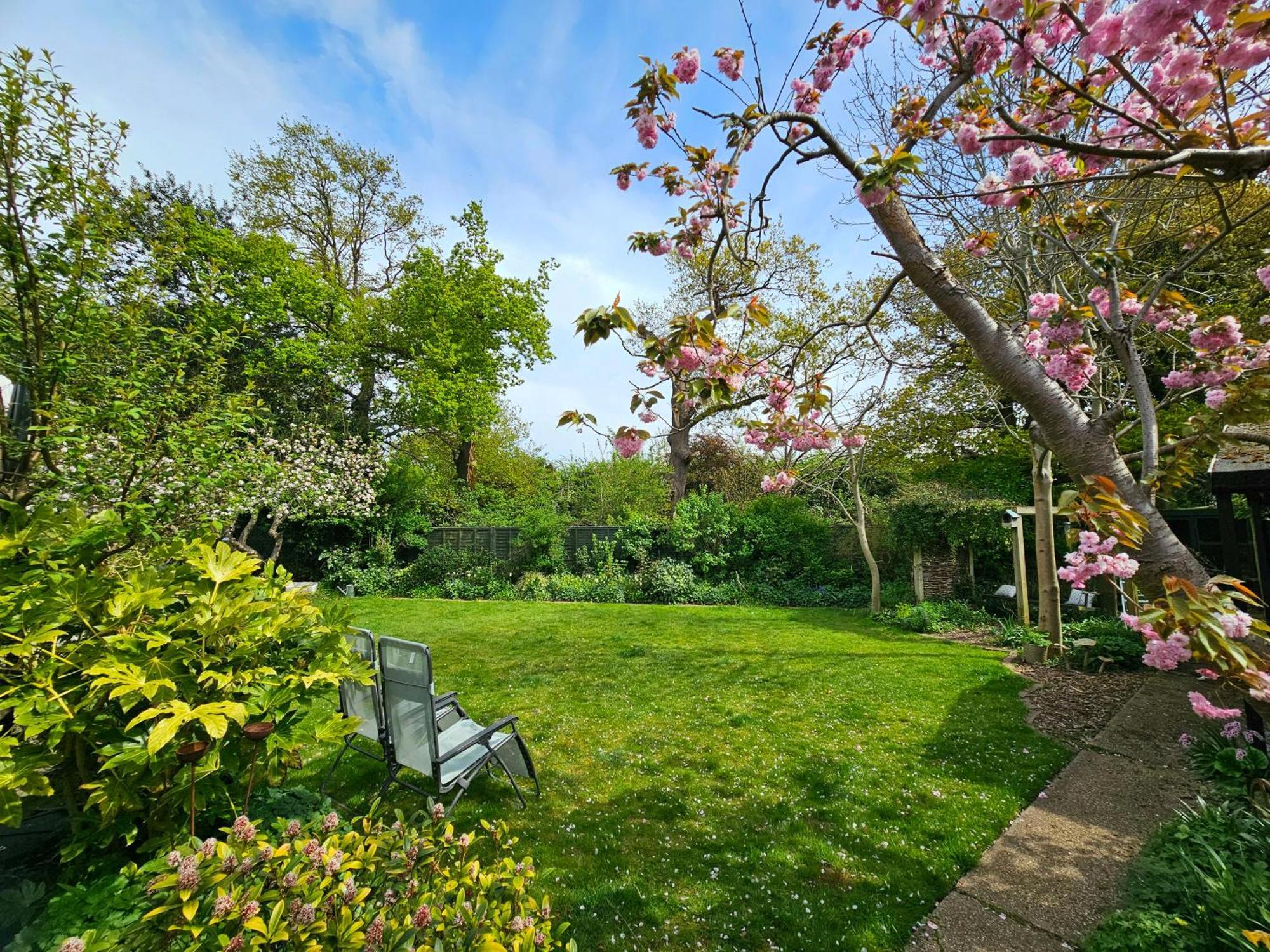 Luxury Self Catering With Cosy Cabin & Sauna In Colchester Esterno foto